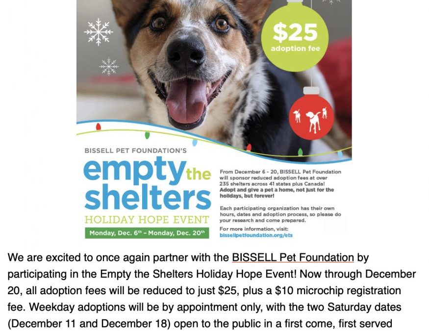 Empty the Animal Shelters